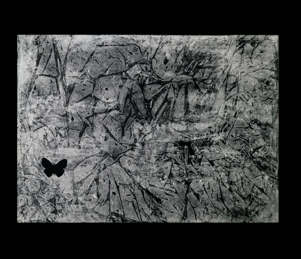 Papillon noir